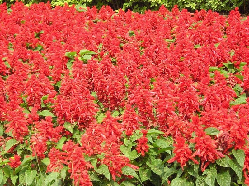 1634304344129822.jpg b1442592c671f73a7517a85b906f6486_1592899171671518.jpg