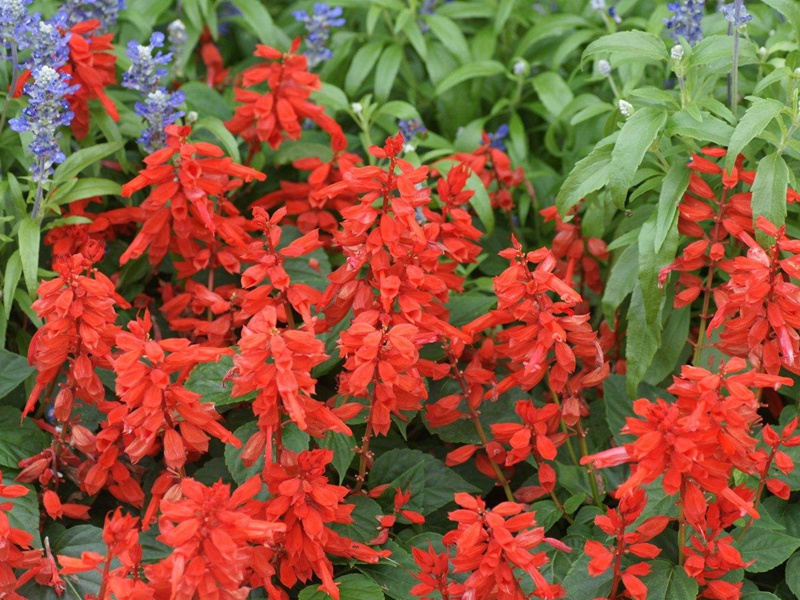 1634304356645203.jpg 771e52e8a72f44ccad856aaedba23c66_1592899171883099.jpg