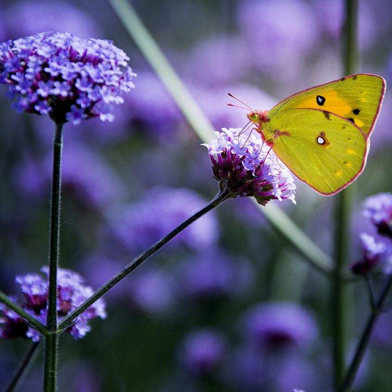 1634305374657143.jpg 5202922831a7a587b537edf3b0e8bf97_1593959797319304.jpg