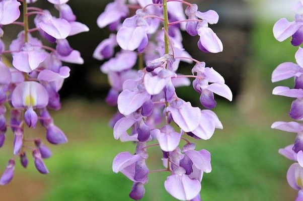 1634359245600103.jpg image.jpg