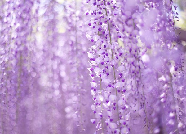 1634359269273493.jpg image.jpg