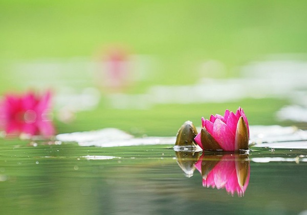 1634359619862814.jpg image.jpg