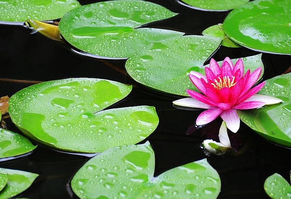 1634359631837647.jpg image.jpg