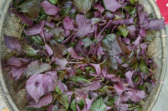 1634360338370469.jpg image.jpg