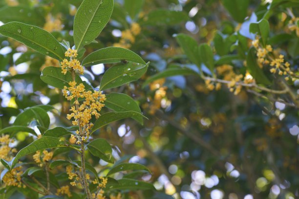 1634638526290210.jpg 1634638526290210.jpg