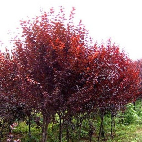 1634639000806219.jpg 1634639000806219.jpg