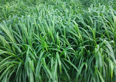 1634639221334250.jpg 1634639221334250.jpg