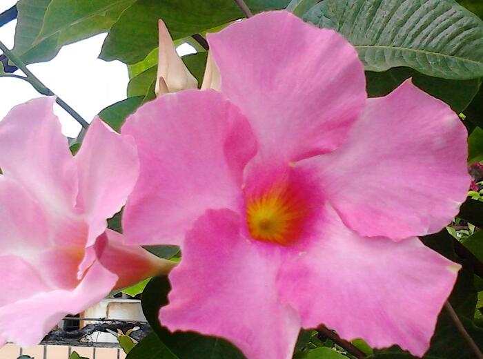 1634716239779516.jpg 1634716239779516.jpg