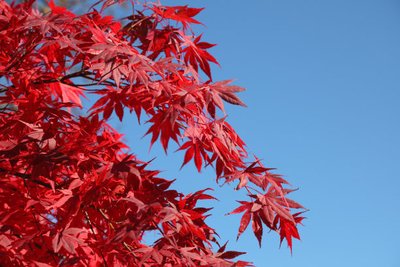 1634725336439621.jpg 1634725336439621.jpg