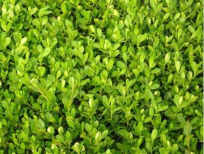 1634727570777833.jpg 1634727570777833.jpg