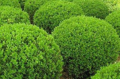 1634727615250796.jpg 1634727615250796.jpg