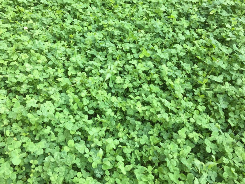 1634773201538258.jpg 1129b83b72c1a558778c41014350cfd6_1591068332148583.jpg