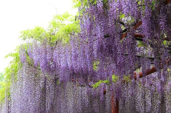 1634778979639698.jpg image.jpg