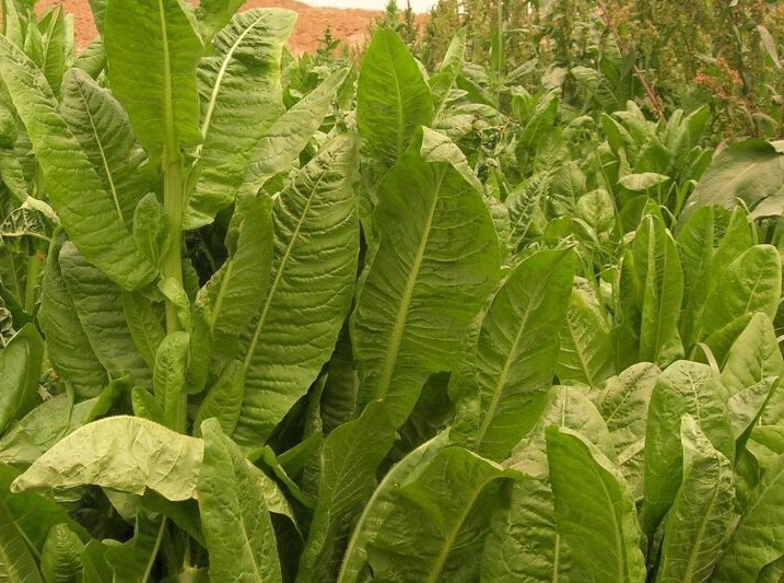 1634799655821187.jpg 1634799655821187.jpg