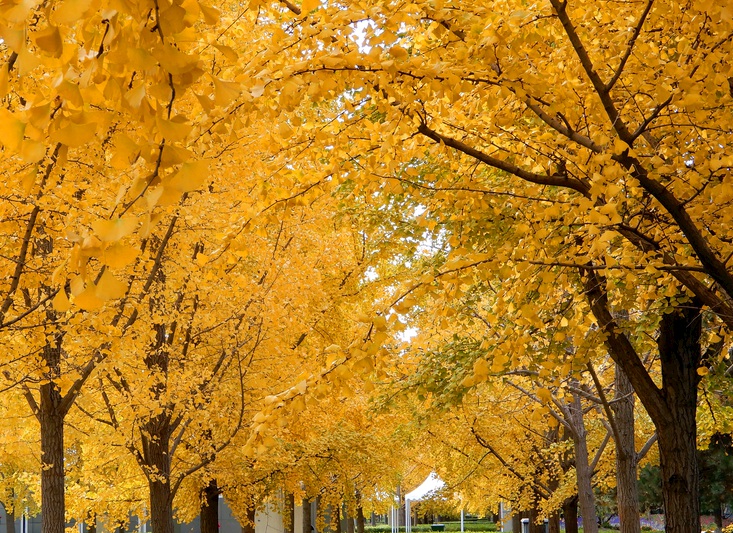 1635343301234890.jpg 3.jpg