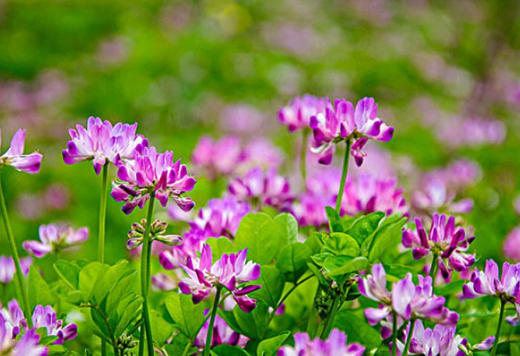 1635488428746437.jpg 1.jpg