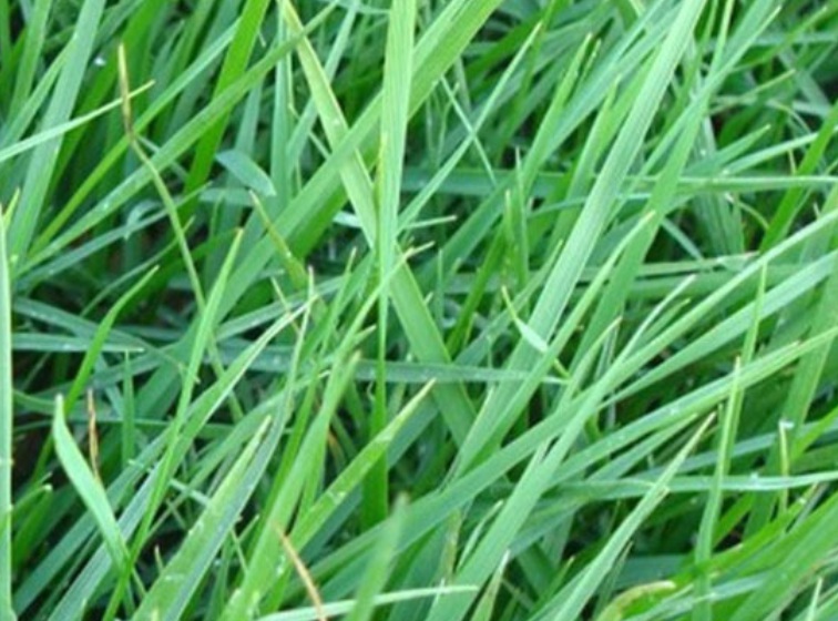 1635607417175045.jpg 1635607417175045.jpg