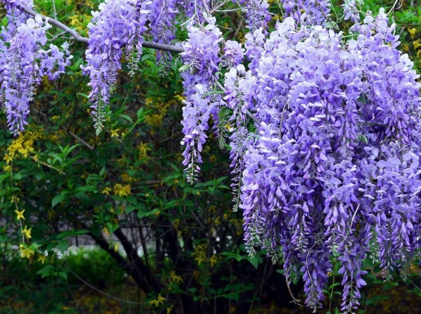 1635826808356820.jpg image.jpg