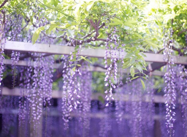 1635826820507832.jpg image.jpg