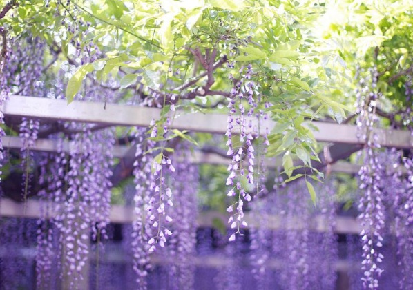 1635827508328911.jpg image.jpg