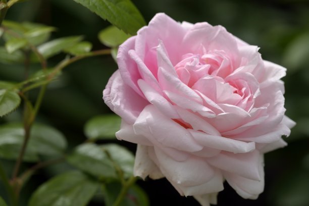 1635850671975255.jpg e1e1e7142c929db70b4f4c4338f6fe16_t016d1e391d71f25120.jpg