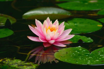 1635852538727814.jpg 1635852538727814.jpg