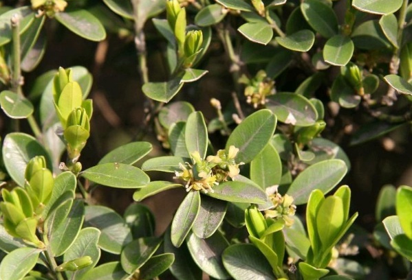 1635910402797407.jpg image.jpg