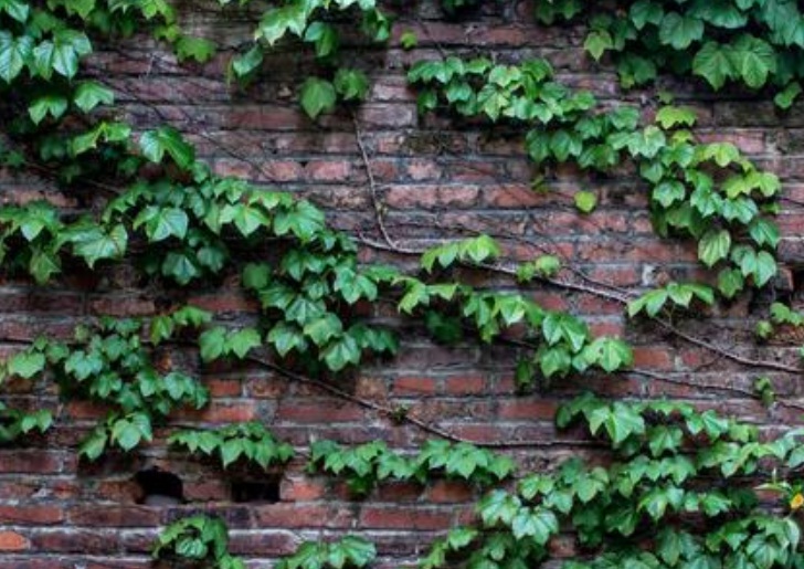 1635911428989053.jpg 1635911428989053.jpg