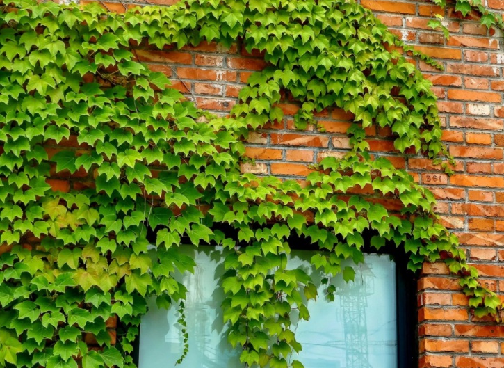 1635911457358297.jpg 1635911457358297.jpg