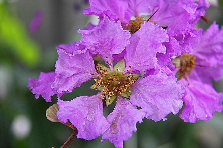 1635940835614561.jpg 1635940835614561.jpg