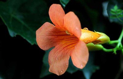 1636110215336136.jpg 1636110215336136.jpg