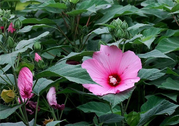 1636279975971461.jpg 1636279975971461.jpg