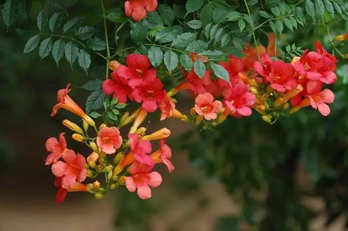 1636282434409732.jpg 1636282434409732.jpg