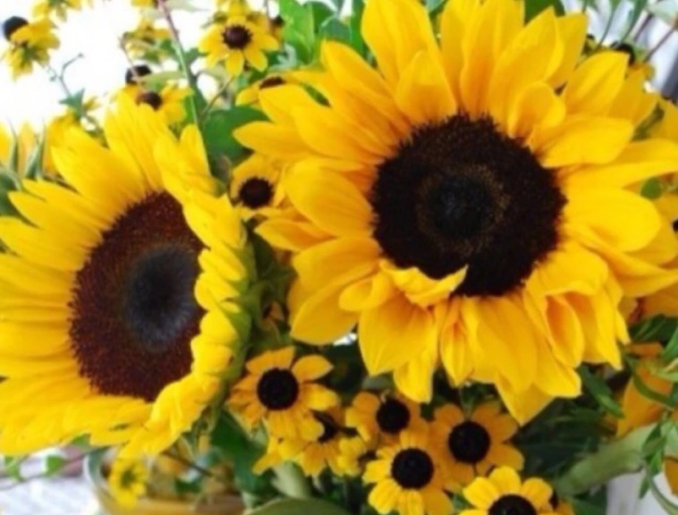 1636285407261007.jpg 1636285407261007.jpg