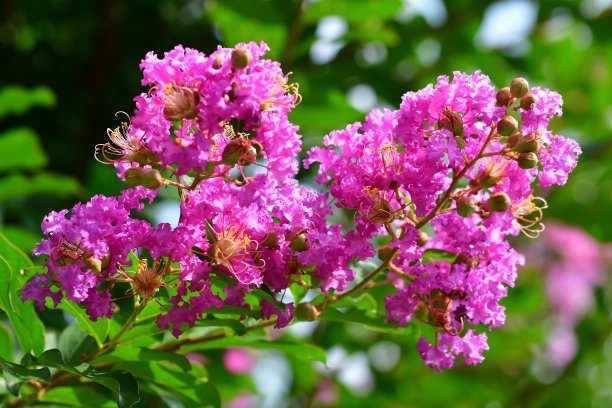 1636976213630865.jpg 1636976213630865.jpg