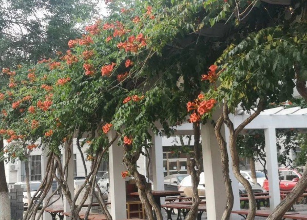 1636977799468272.jpg image.jpg