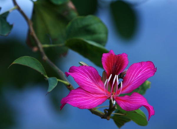 1636978926725930.jpg image.jpg