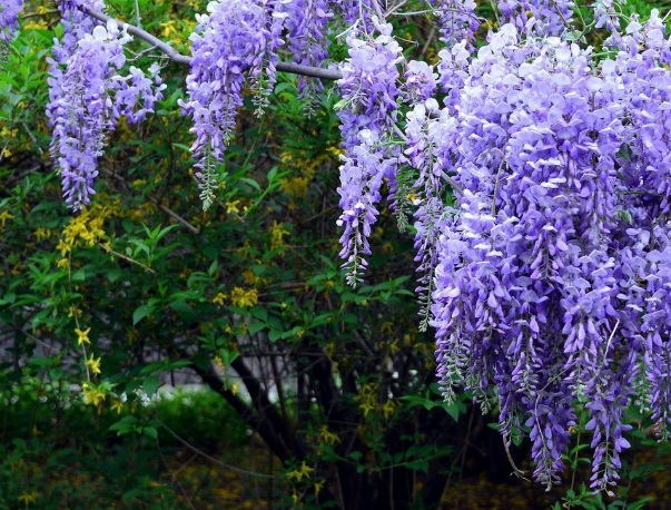 1637020915968684.jpg image.jpg