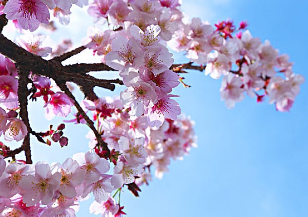 1637022448252292.jpg image.jpg