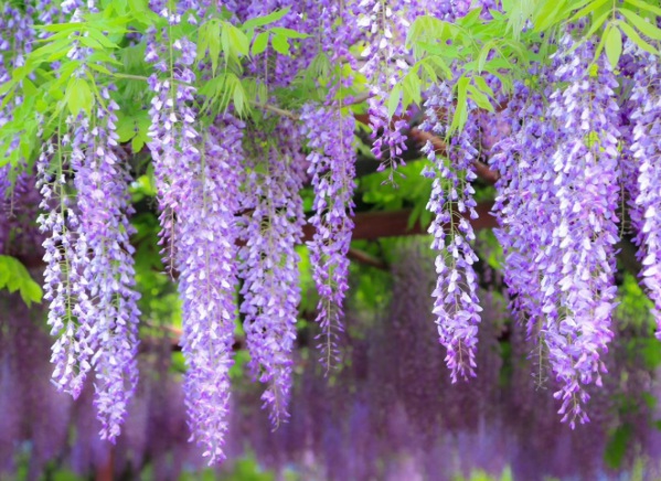 1637024815941077.jpg image.jpg