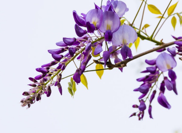 1637024830604905.jpg image.jpg