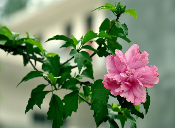 1637025975499338.jpg image.jpg