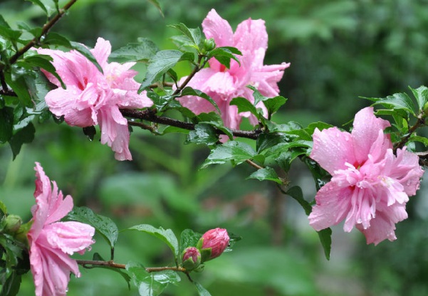 1637025988190477.jpg image.jpg