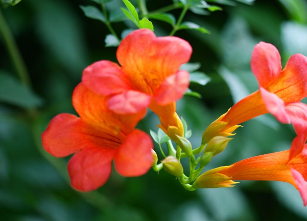 1637027687612078.jpg image.jpg