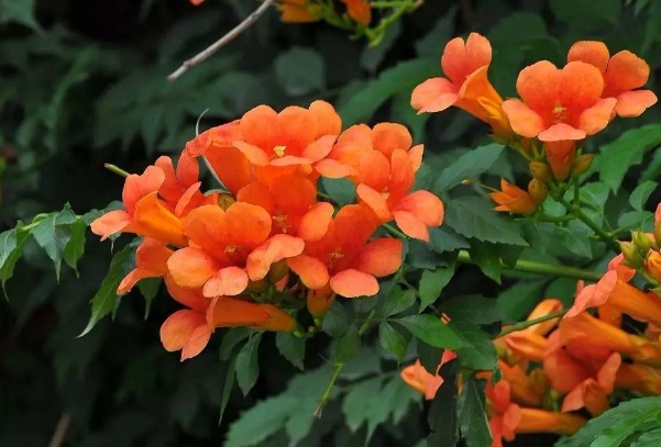 1637028567961320.jpg image.jpg