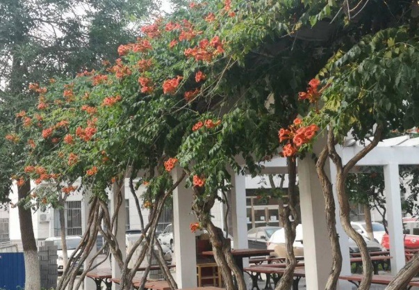 1637028579784522.jpg image.jpg