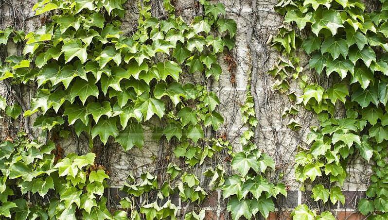 1637047322206672.jpg 1637047322206672.jpg