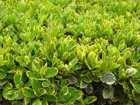 1637057912315602.jpg 1637057912315602.jpg