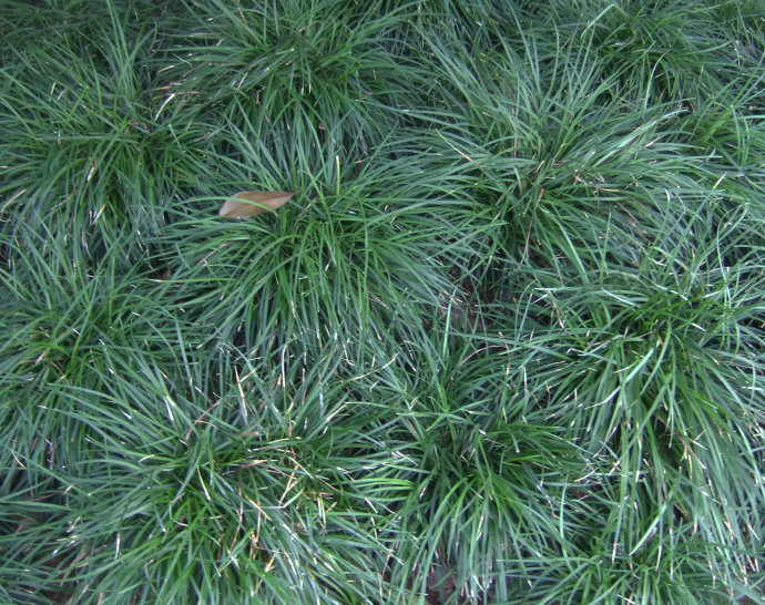 1637058604494495.jpeg 1637058604494495.jpeg