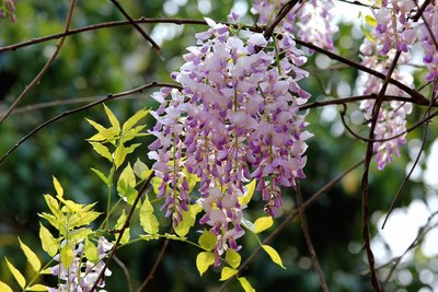 1637146949799439.jpg 1637146949799439.jpg